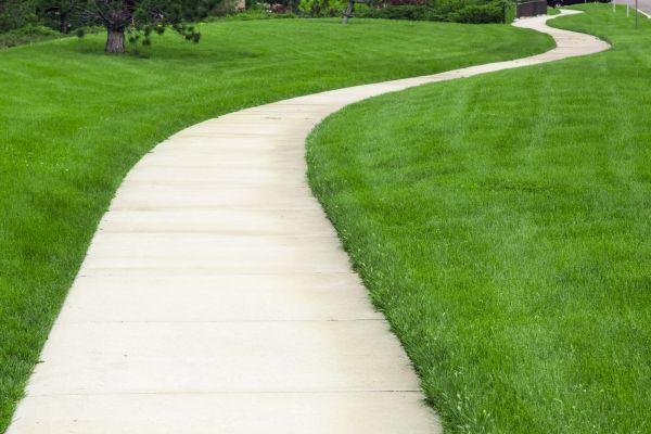 Pathway Replacement in Carlsbad