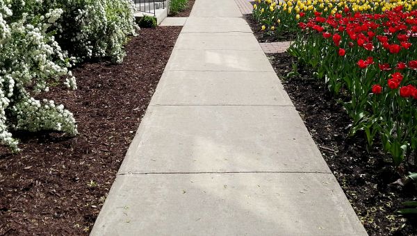 Sidewalk Slab Replacement in Carlsbad