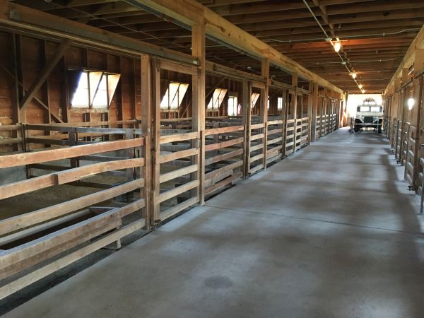 Barn Floor Pouring in Carlsbad