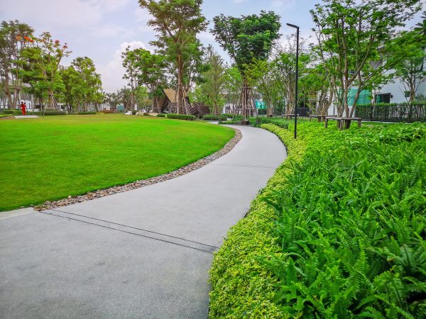 Cement Walkway Service in Carlsbad