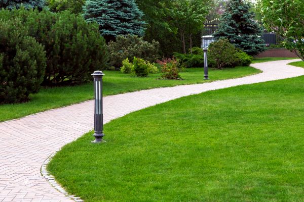 Backyard Sidewalk Installation in Carlsbad