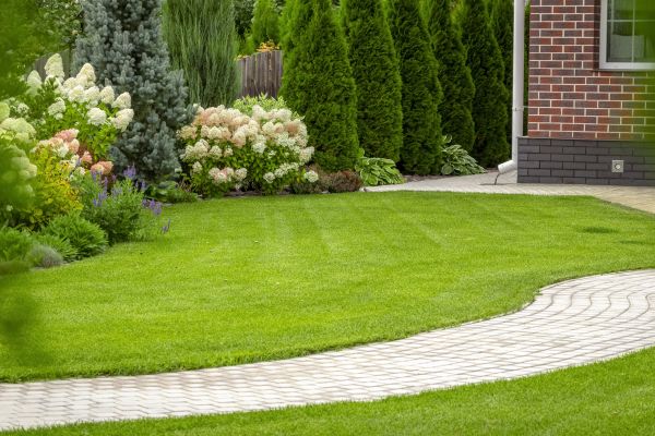 Landscape Walkway Installation in Carlsbad